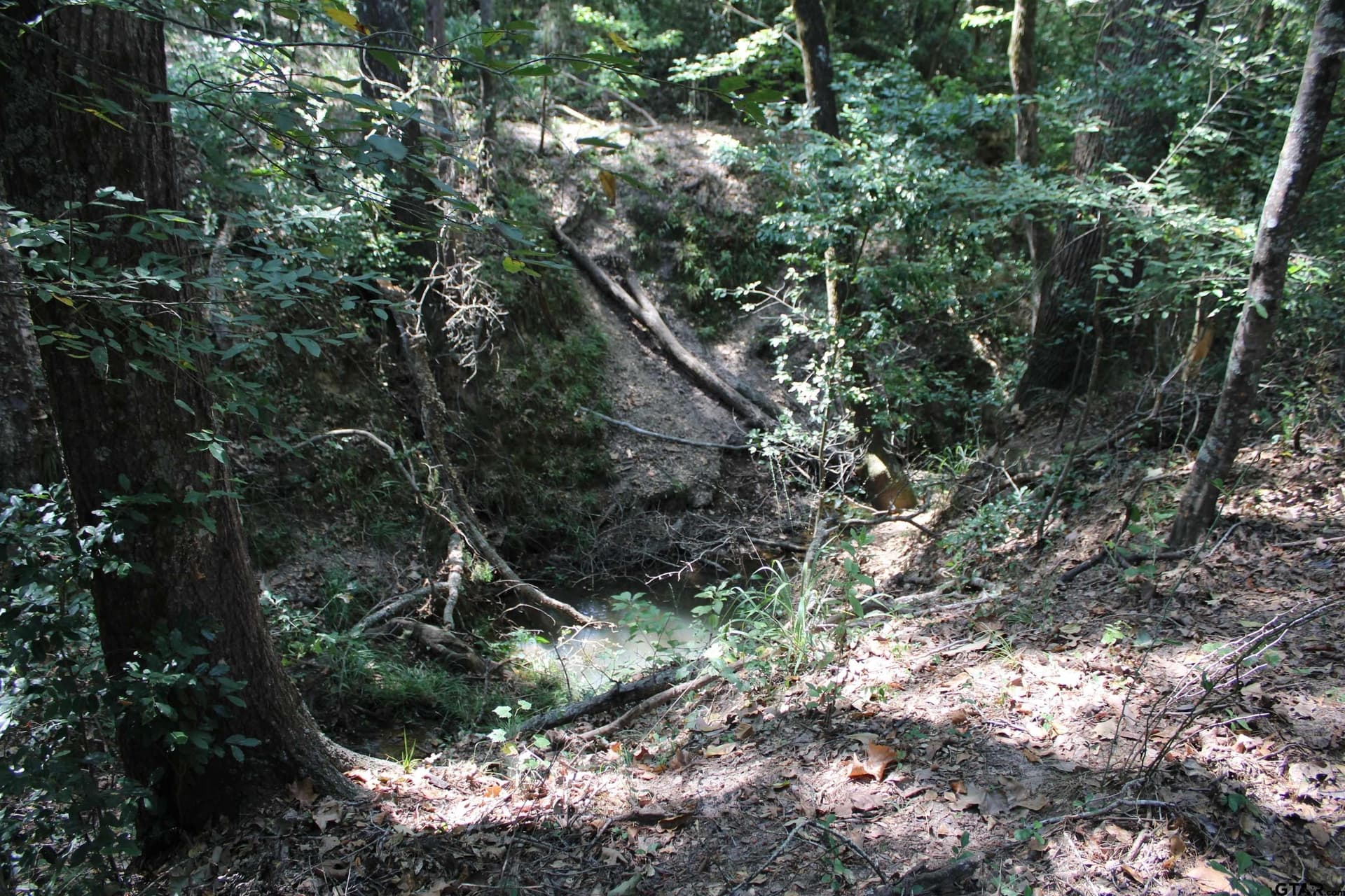 8.15 acres in Cherokee County - photo 8