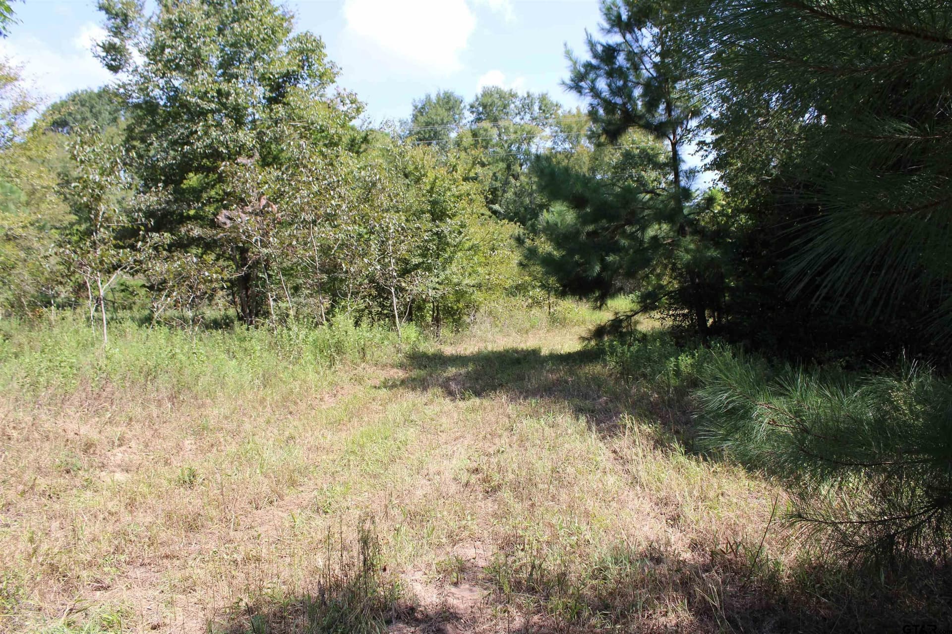 8.15 acres in Cherokee County - photo 3