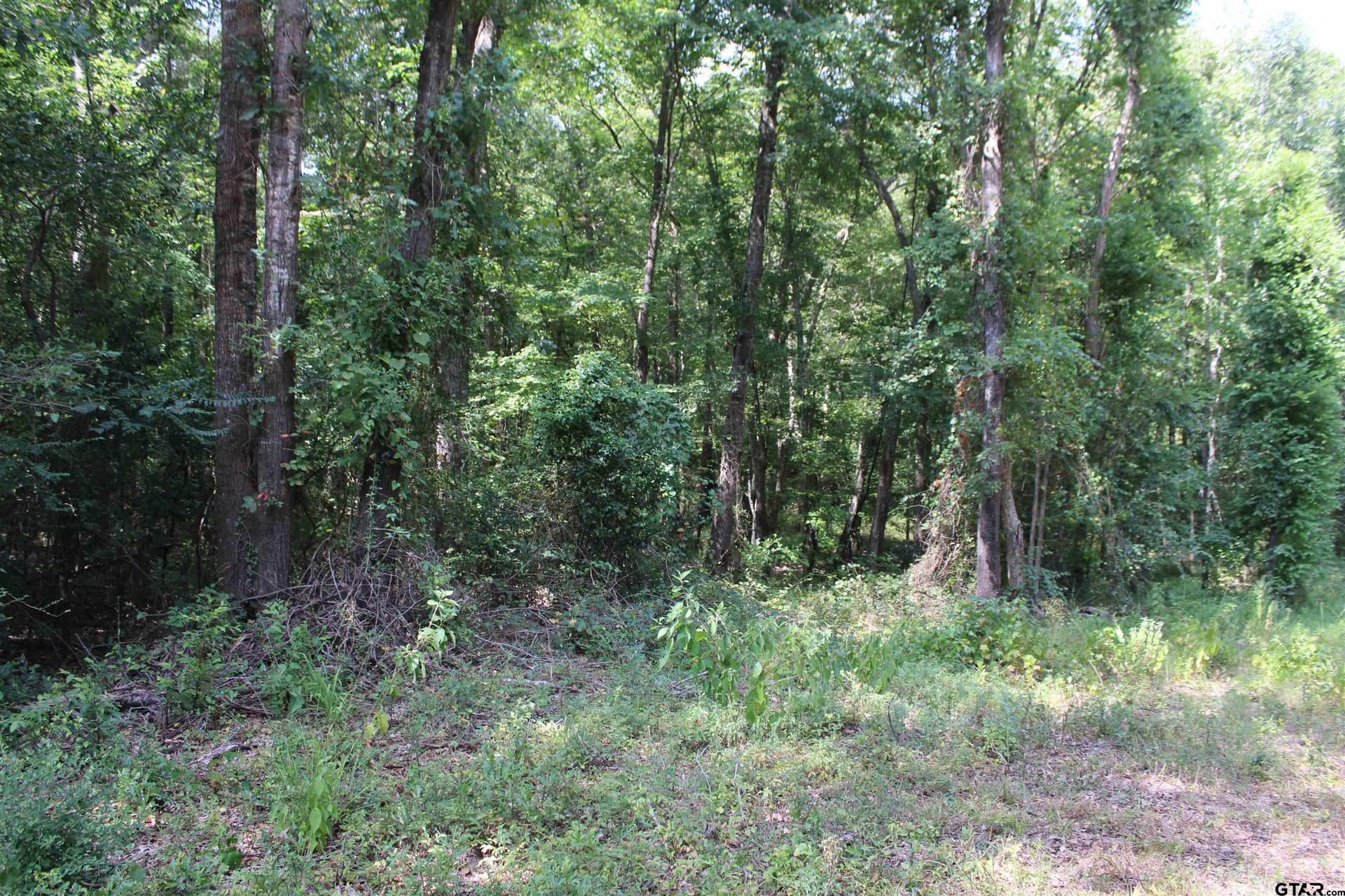 8.15 acres in Cherokee County - photo 11