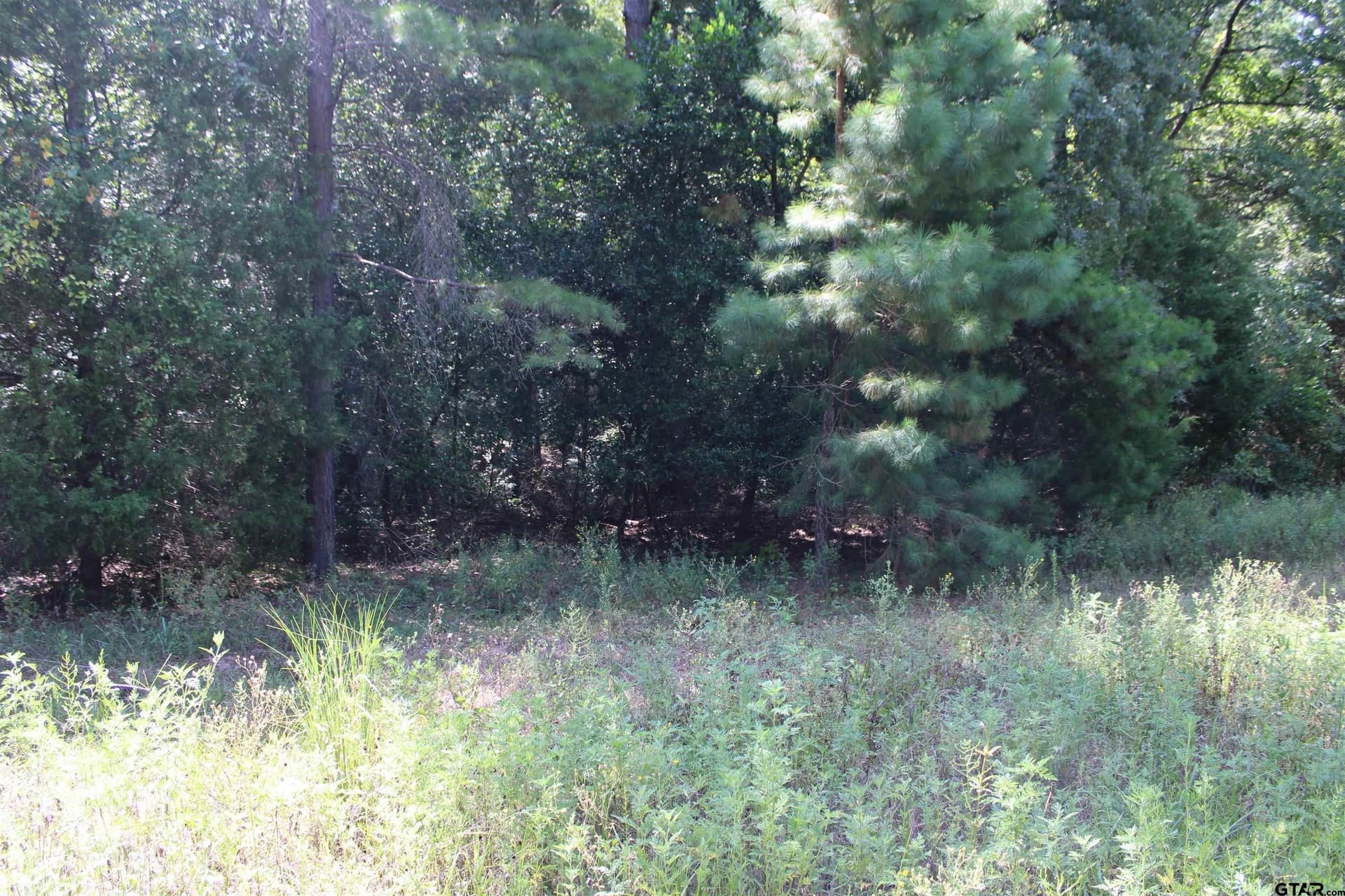 8.15 acres in Cherokee County - photo 13