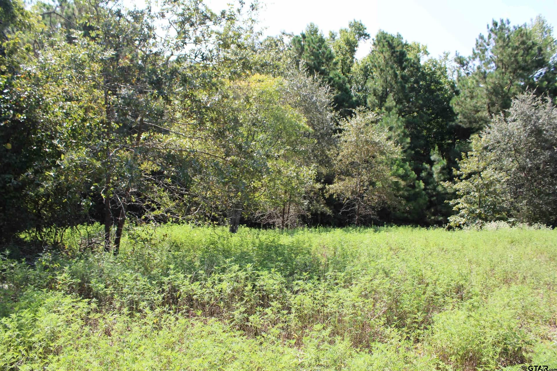 8.15 acres in Cherokee County - photo 18