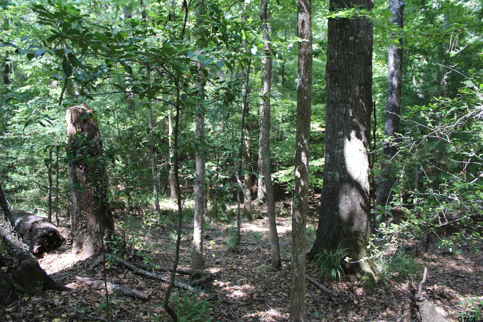 8.15 acres in Cherokee County - photo 22