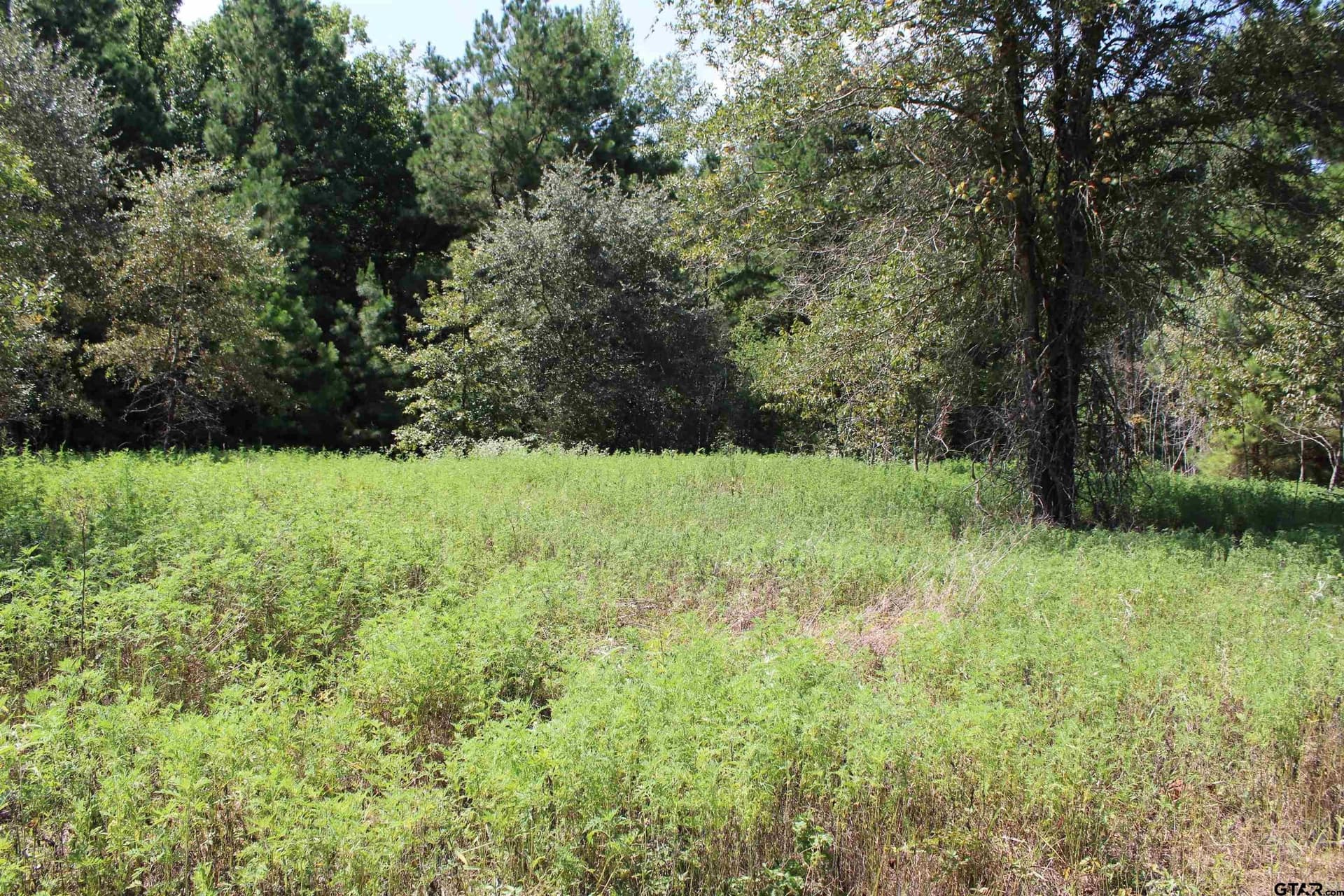 8.15 acres in Cherokee County - photo 10