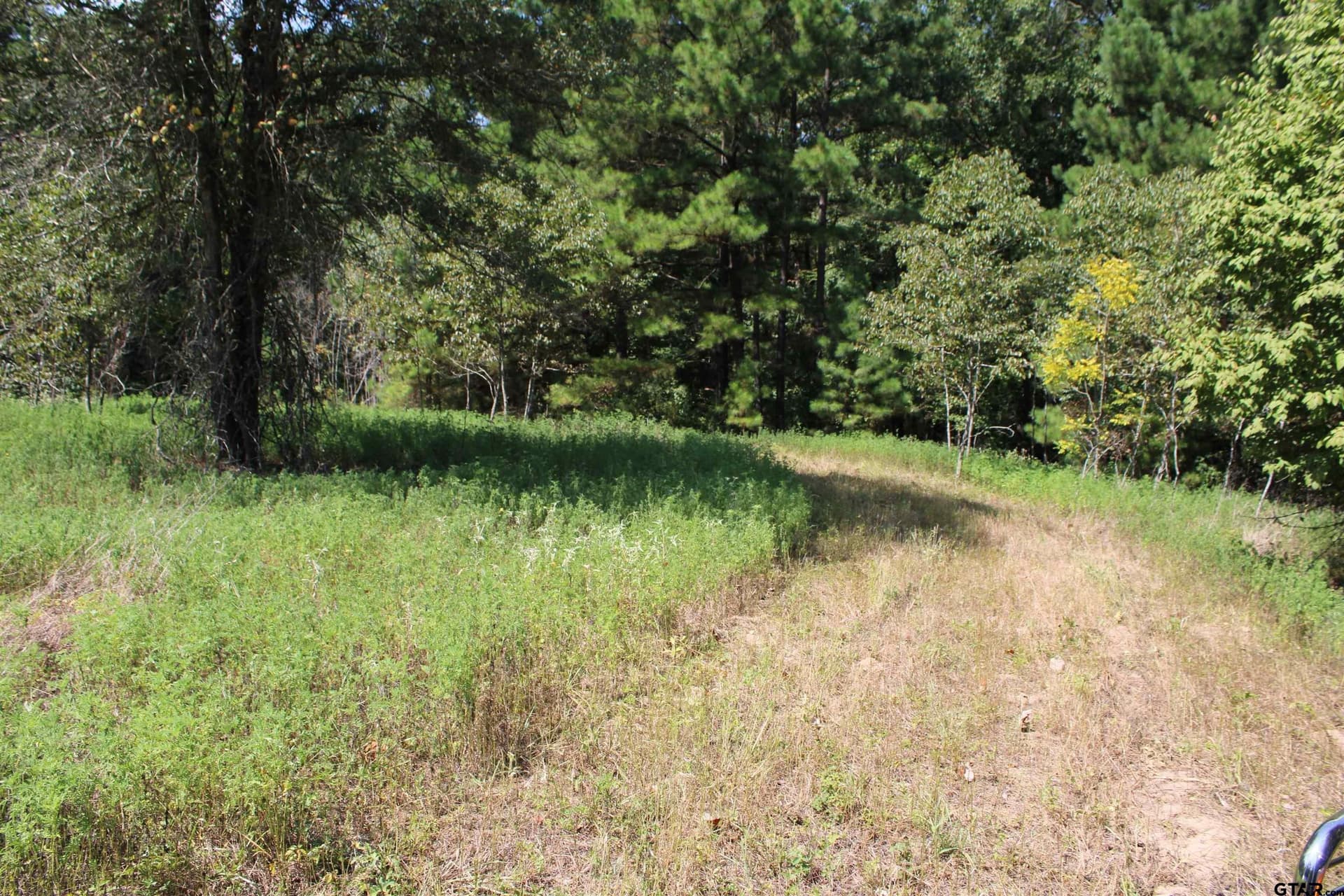8.15 acres in Cherokee County - photo 17
