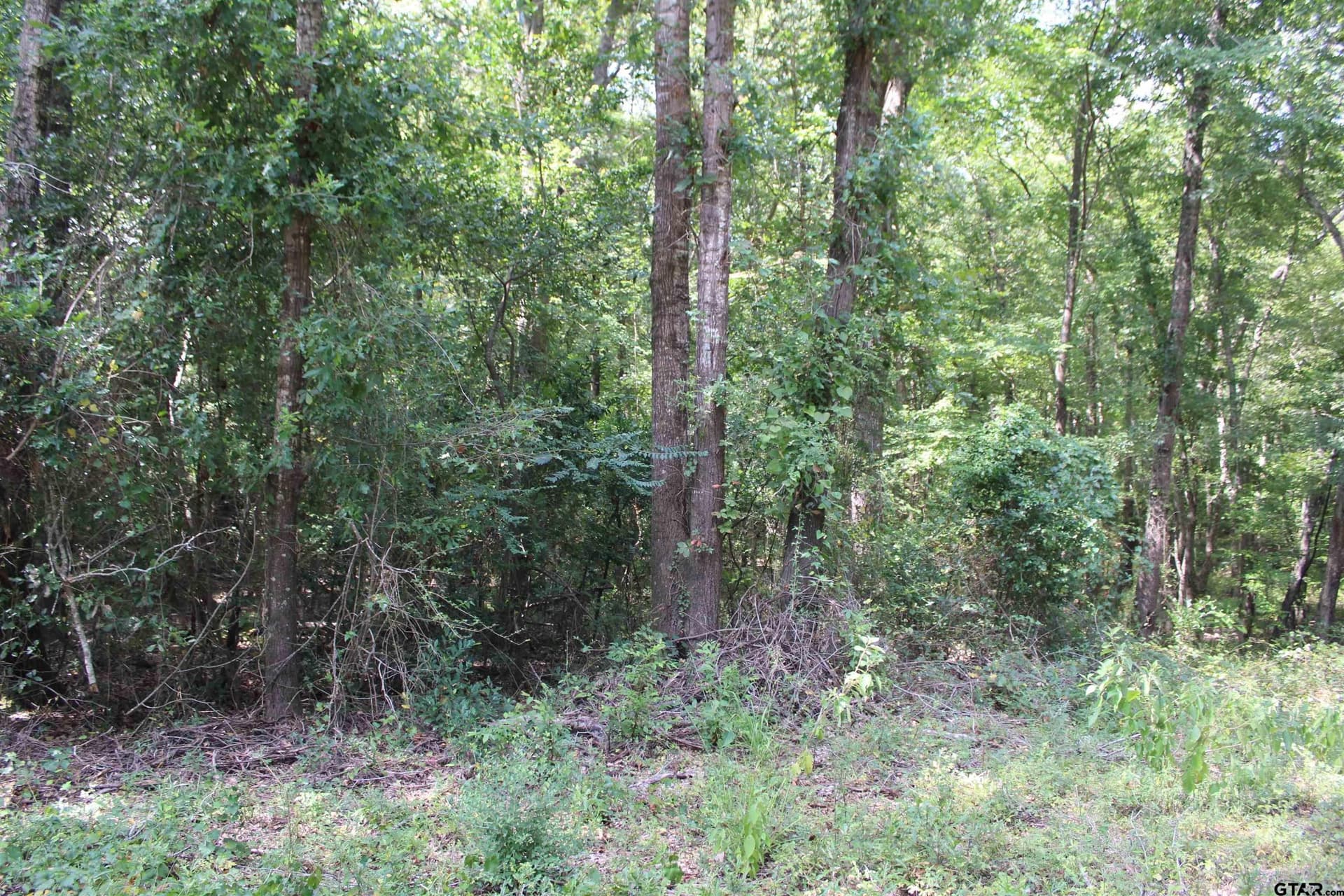8.15 acres in Cherokee County - photo 14