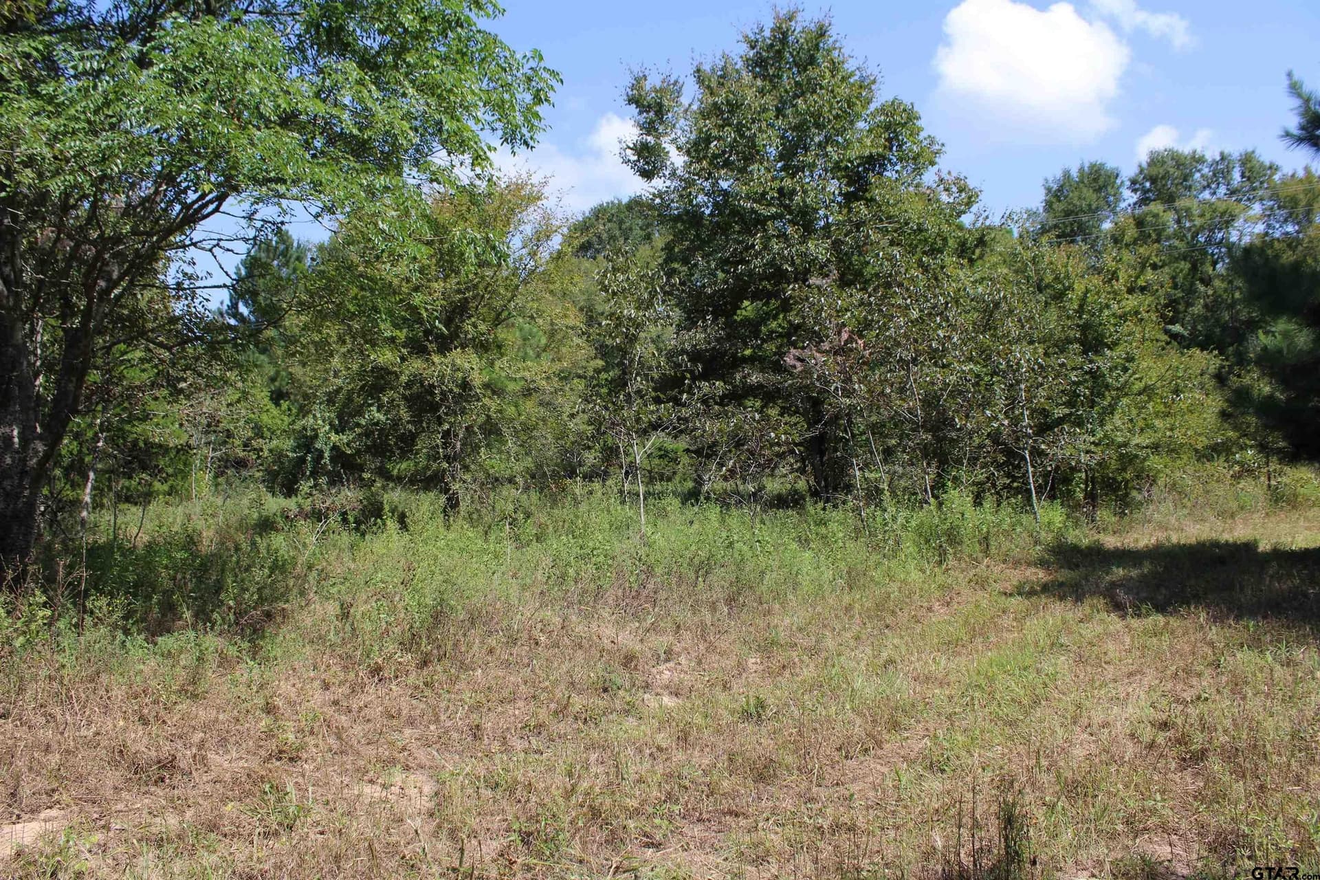 8.15 acres in Cherokee County - photo 15
