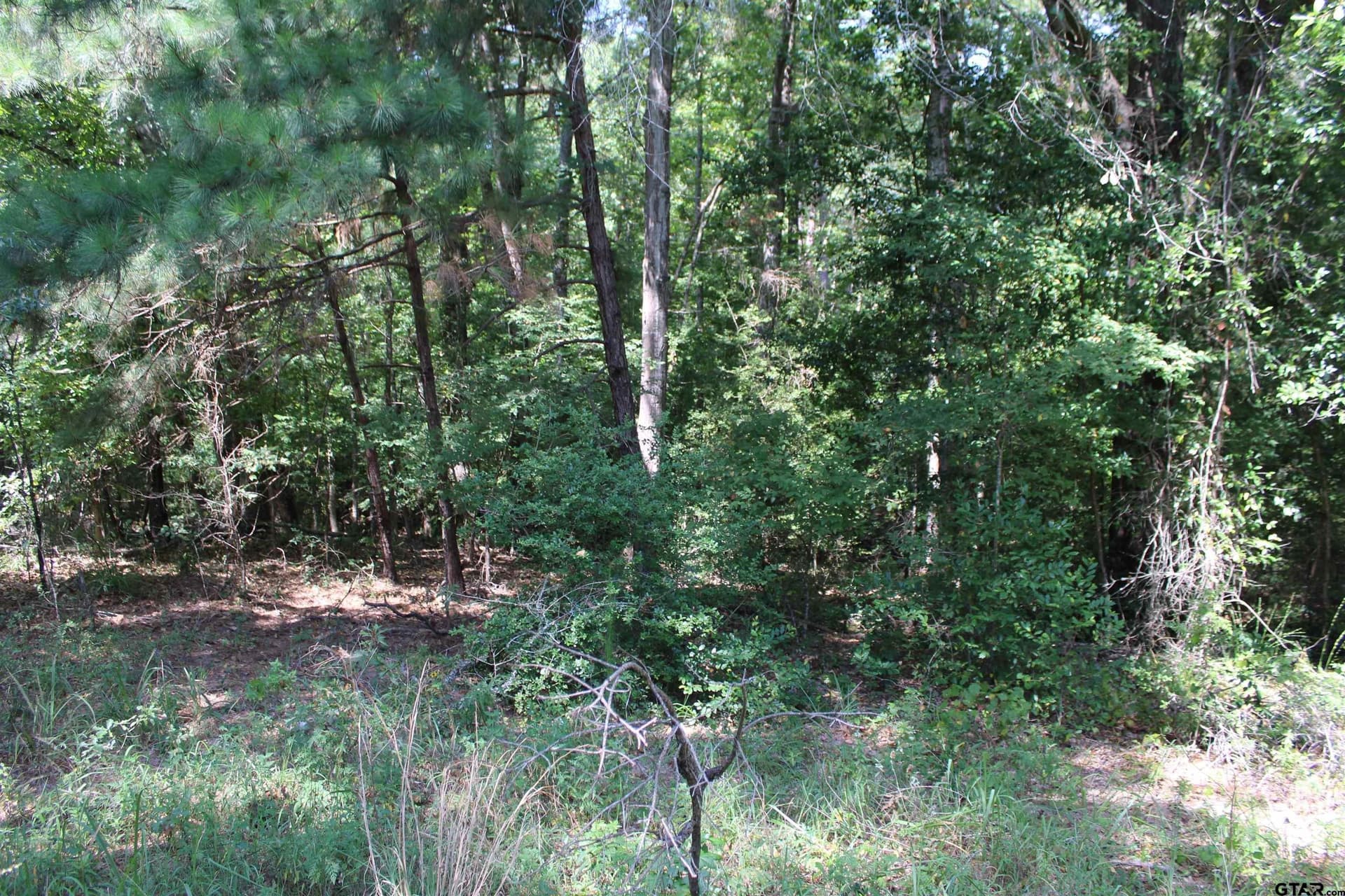 8.15 acres in Cherokee County - photo 20