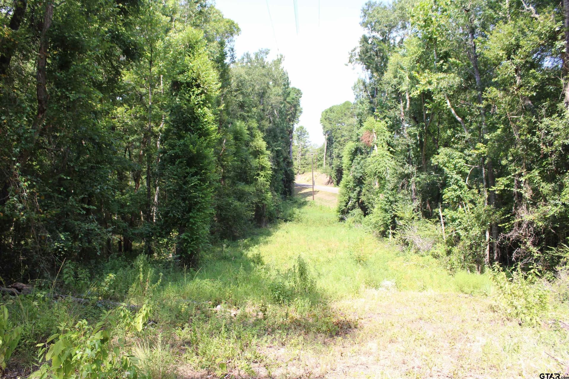8.15 acres in Cherokee County - photo 12