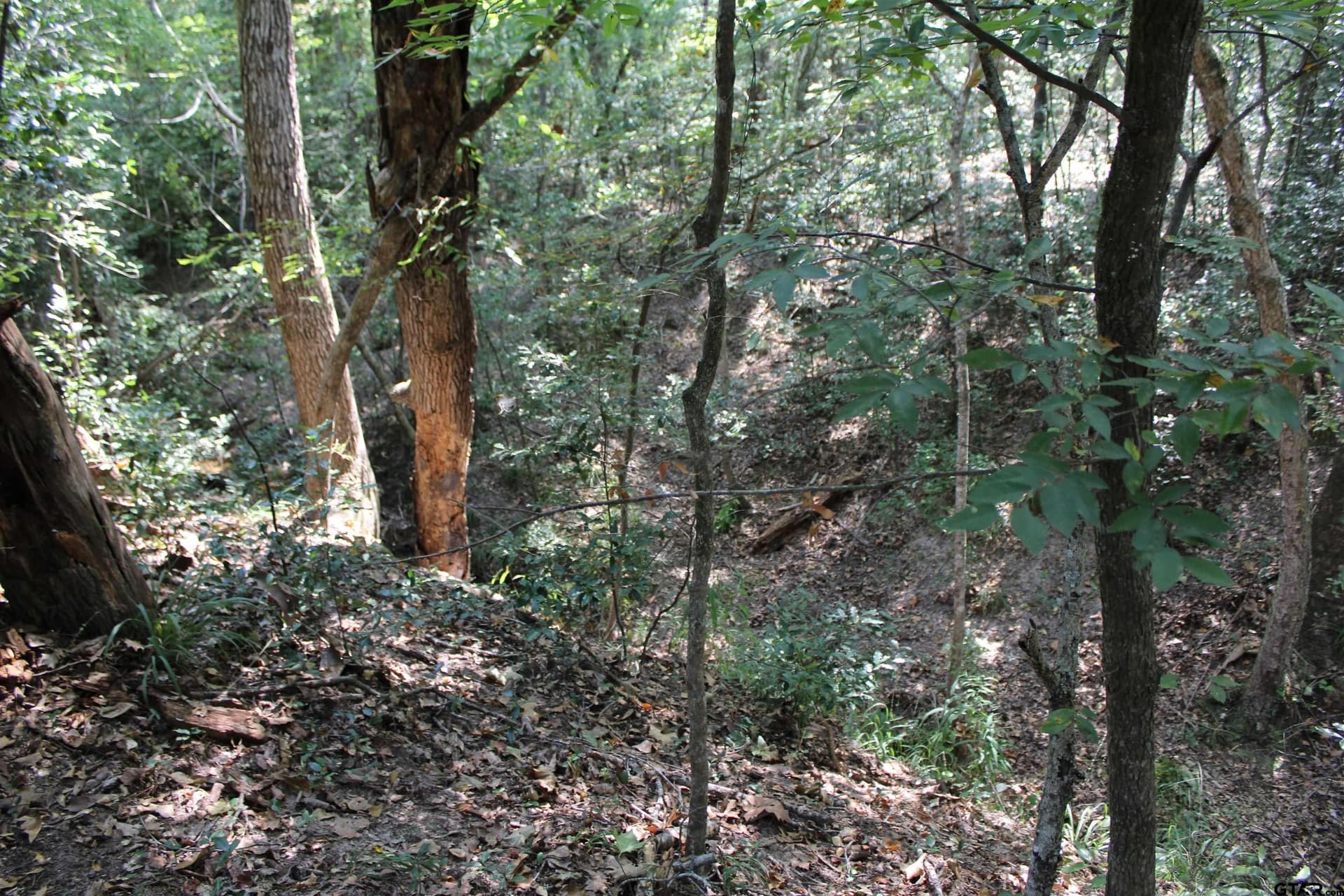 8.15 acres in Cherokee County - photo 7