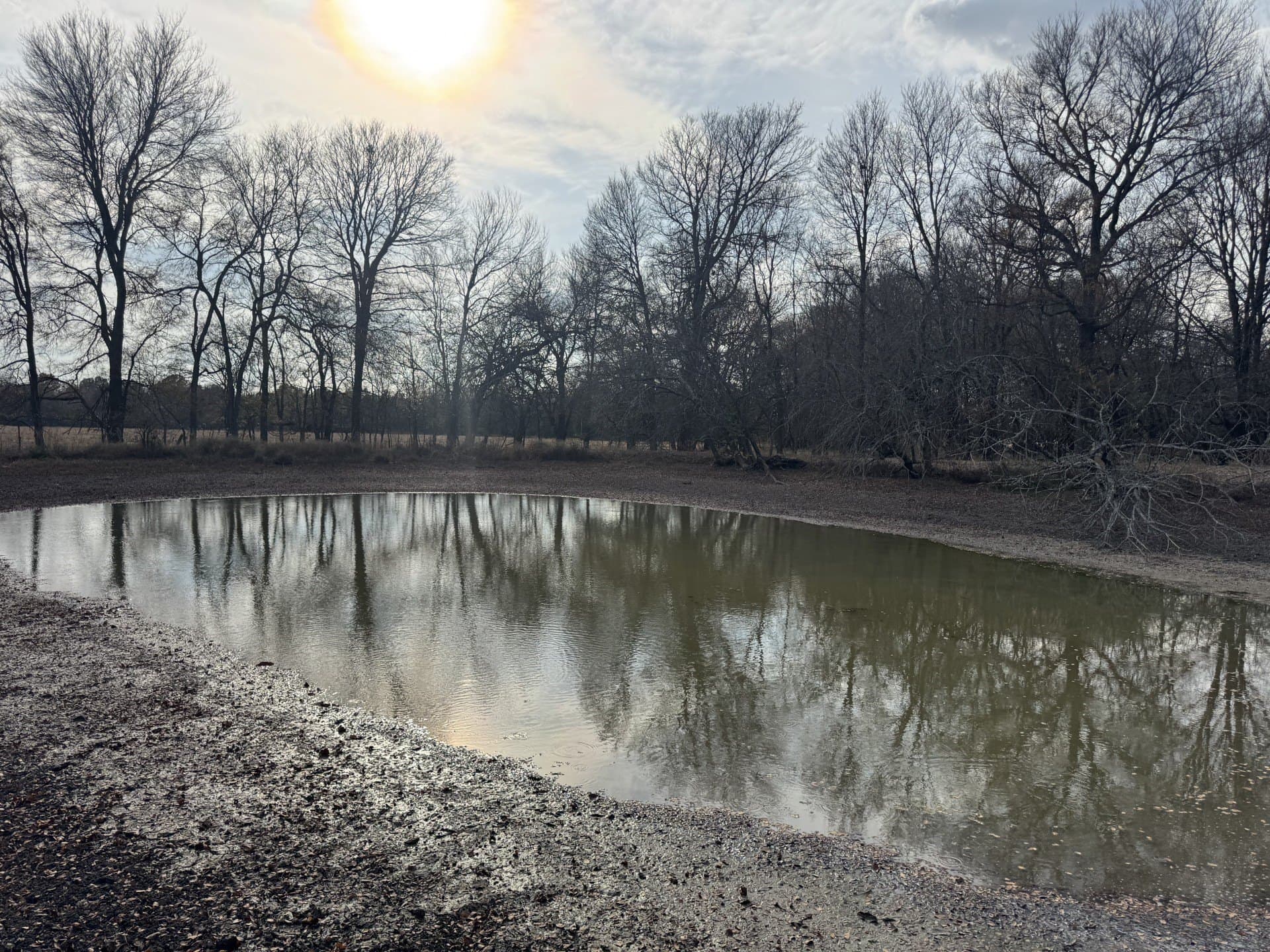 10.01 acres in Lamar County featured view