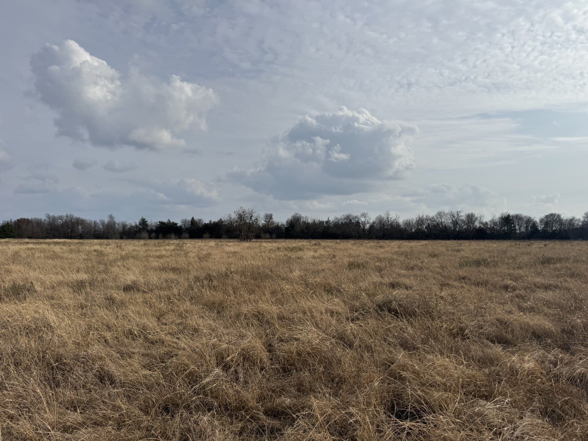 10.01 acres in Lamar County gallery image 2
