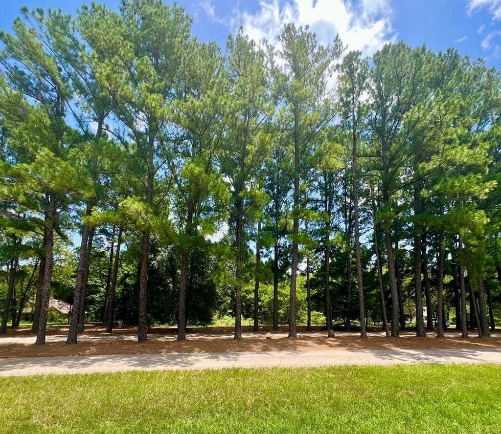 2.31 acres in Henderson County