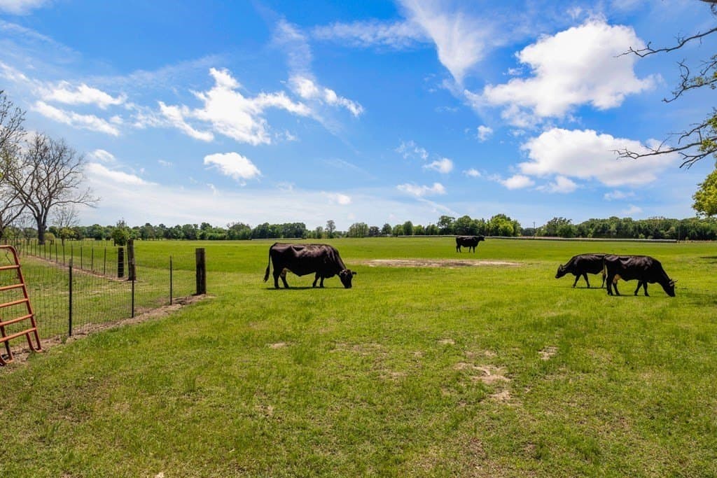 10.41 acres in Van Zandt County - photo 29