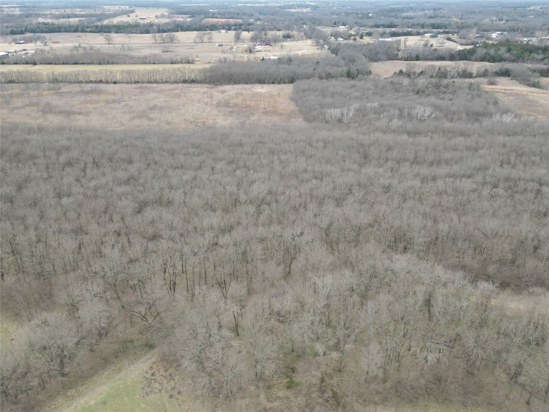 121 acres in Grayson County - photo 32