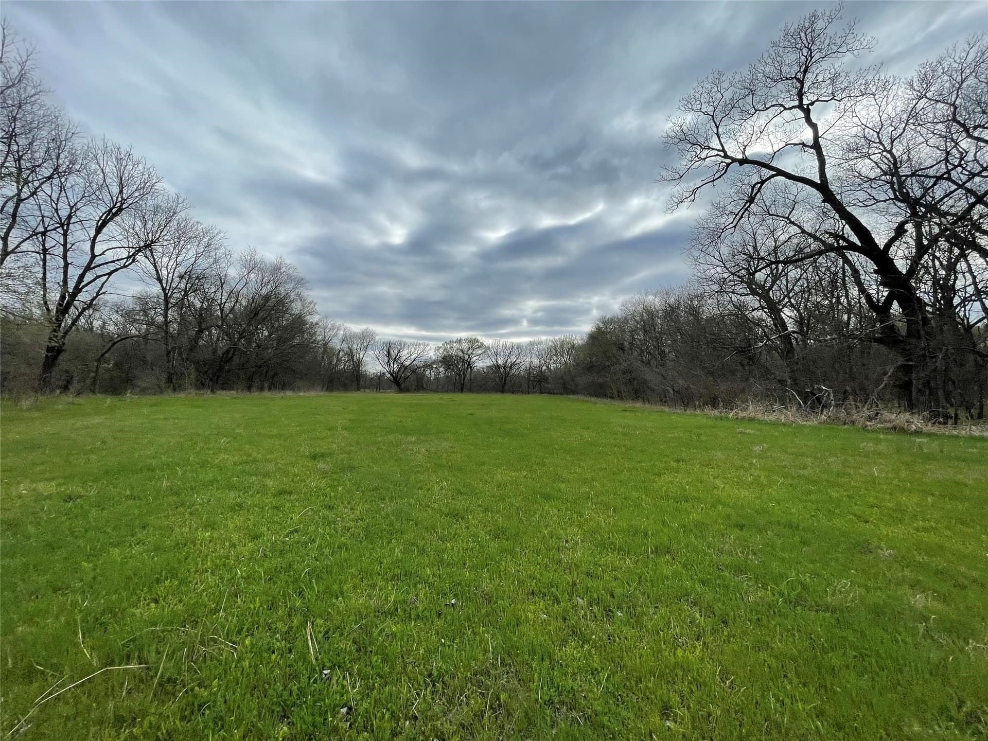 121 acres in Grayson County - photo 3