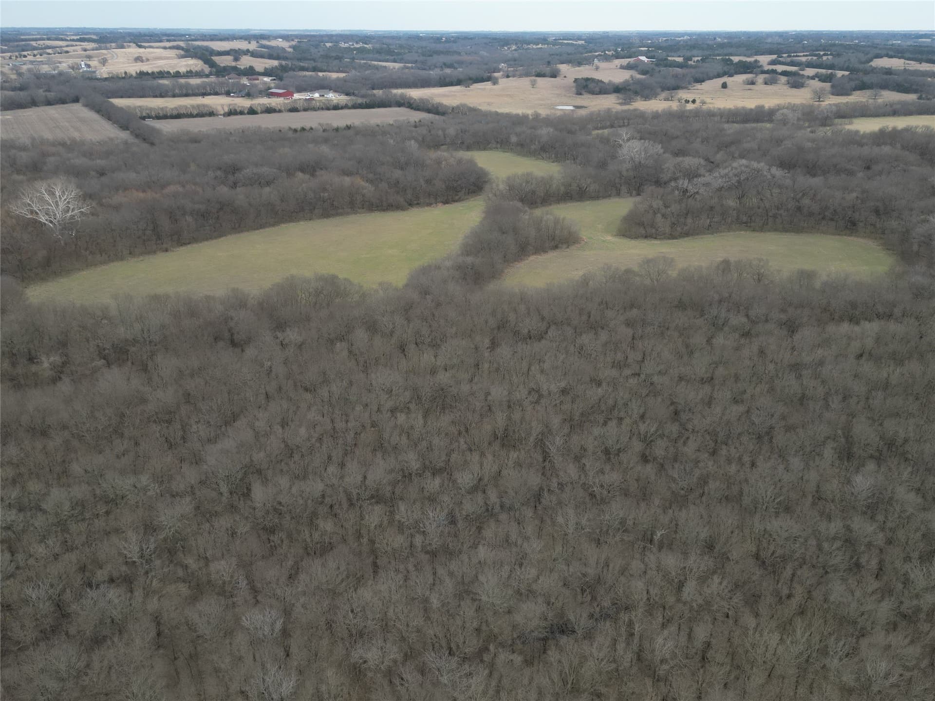121 acres in Grayson County - photo 28