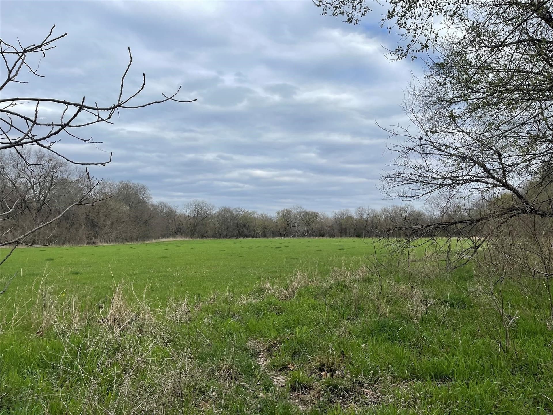121 acres in Grayson County - photo 4
