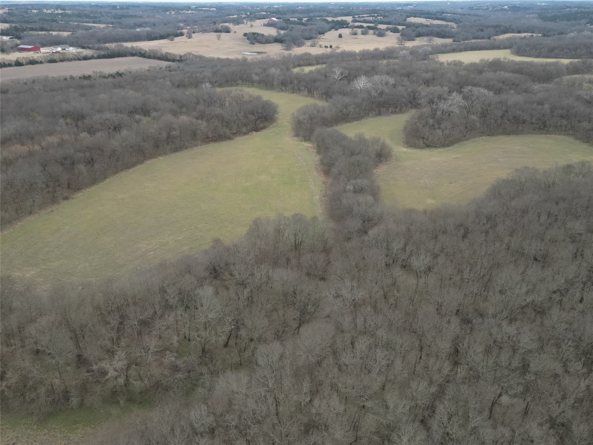 121 acres in Grayson County - photo 29