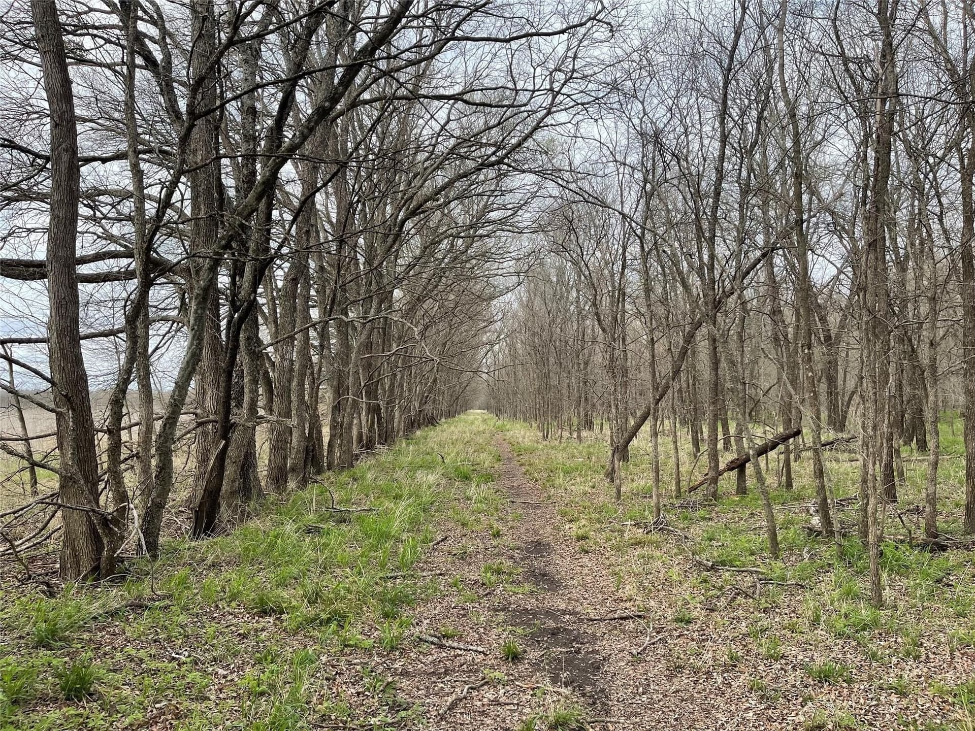 121 acres in Grayson County - photo 2