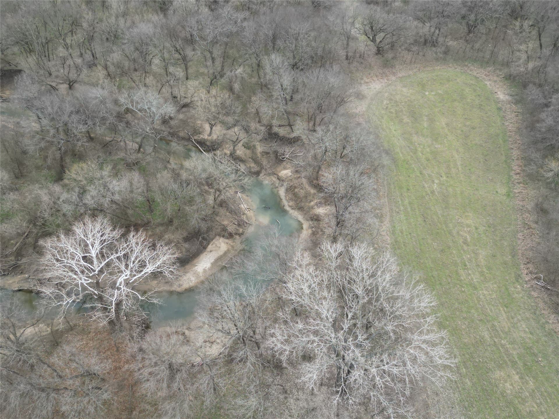 121 acres in Grayson County - photo 30