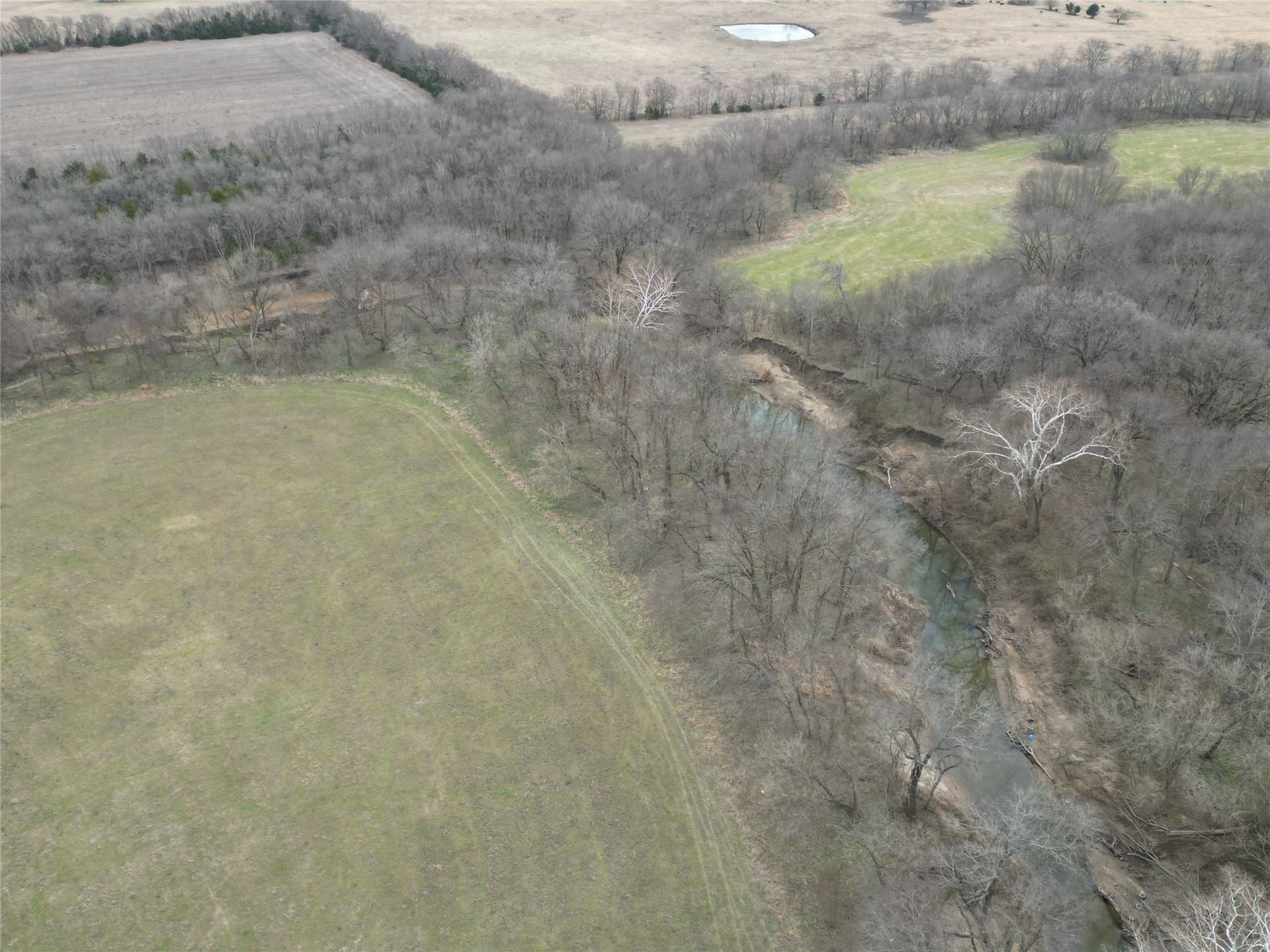 121 acres in Grayson County - photo 31