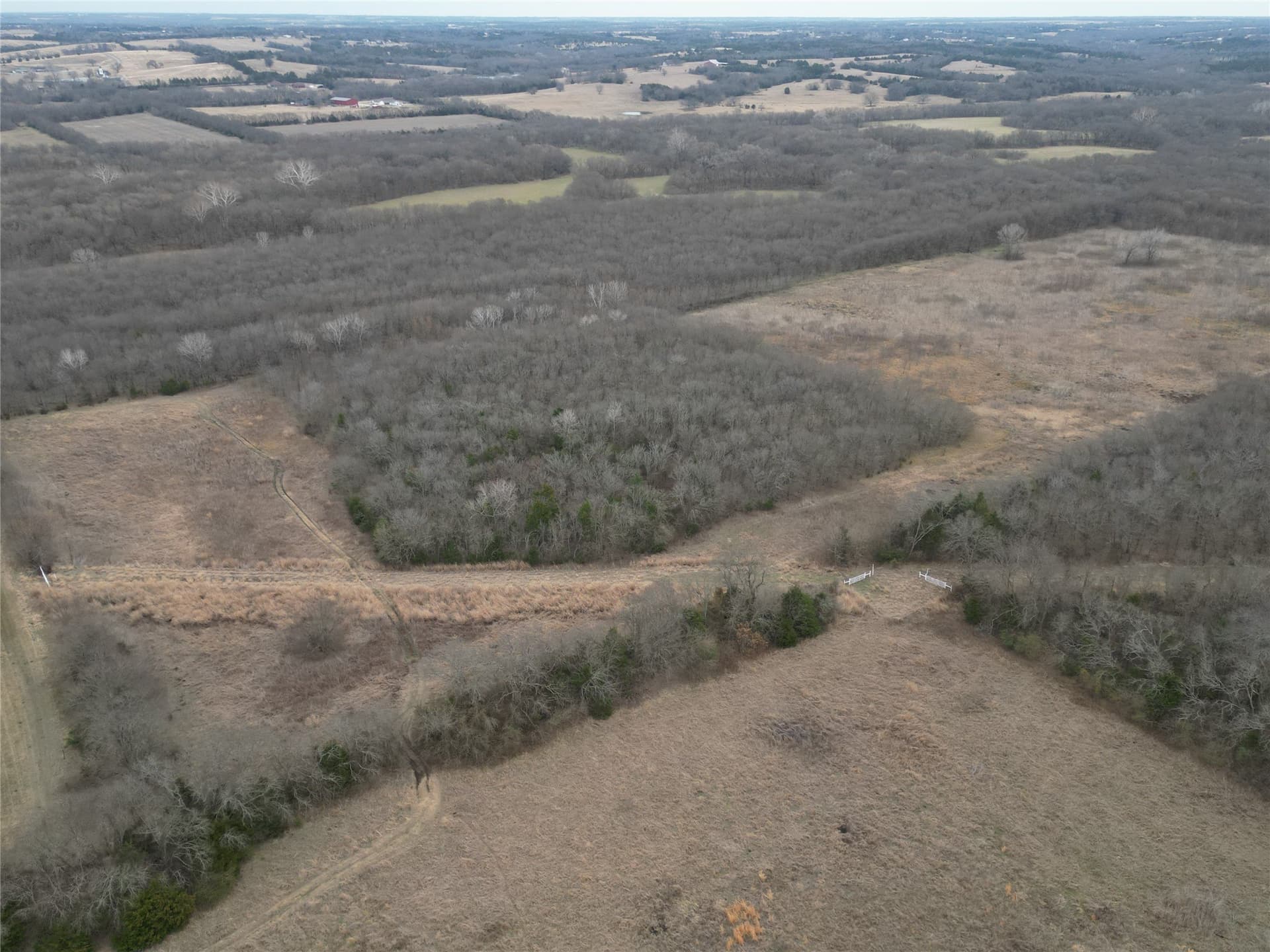 121 acres in Grayson County - photo 26