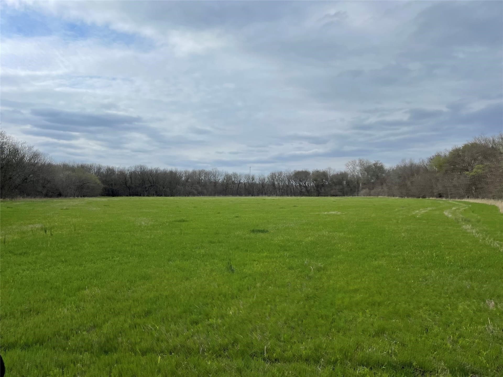 121 acres in Grayson County - photo 5