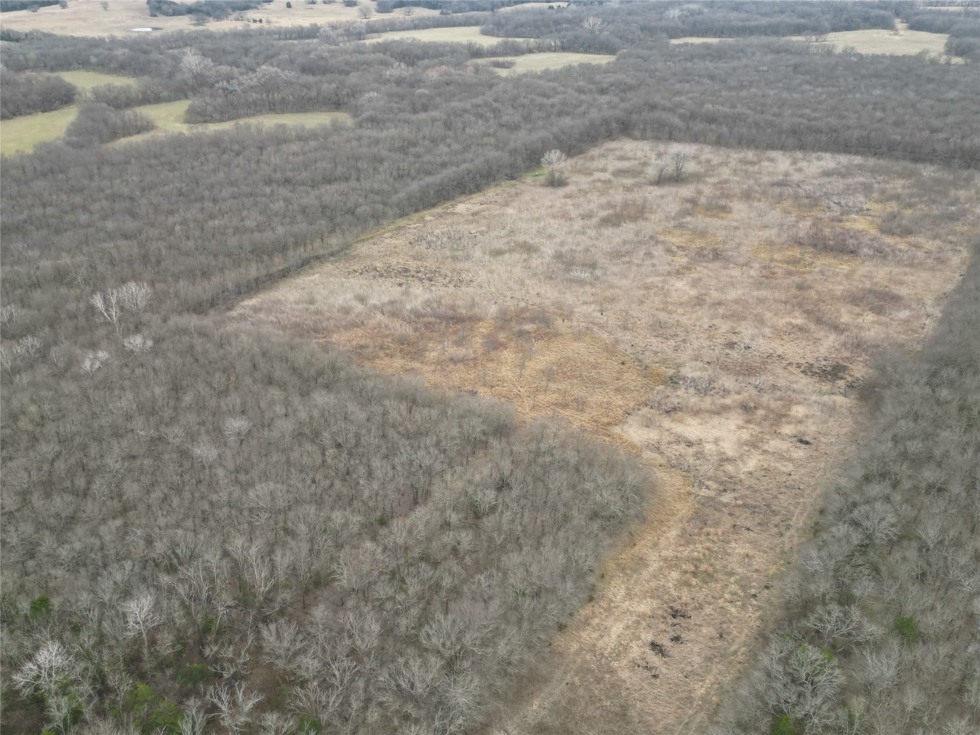 121 acres in Grayson County - photo 27