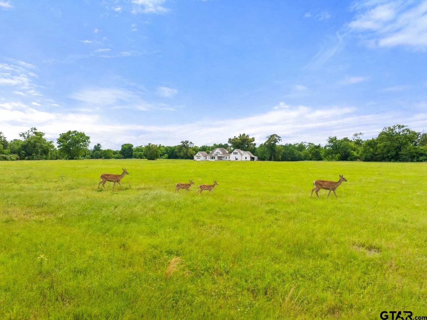 38 acres in Smith County - photo 48