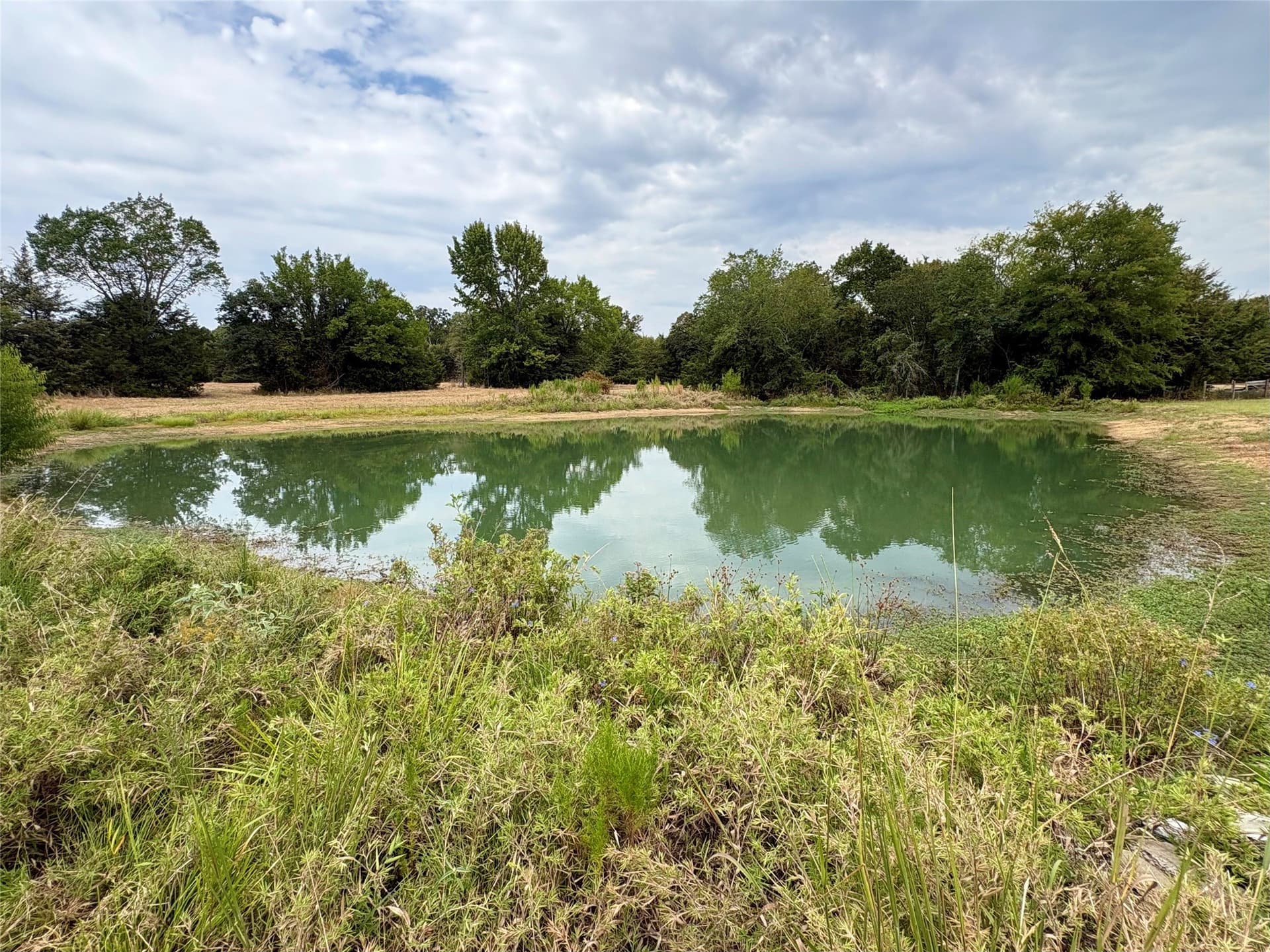 24.64 acres in Hopkins County - photo 36