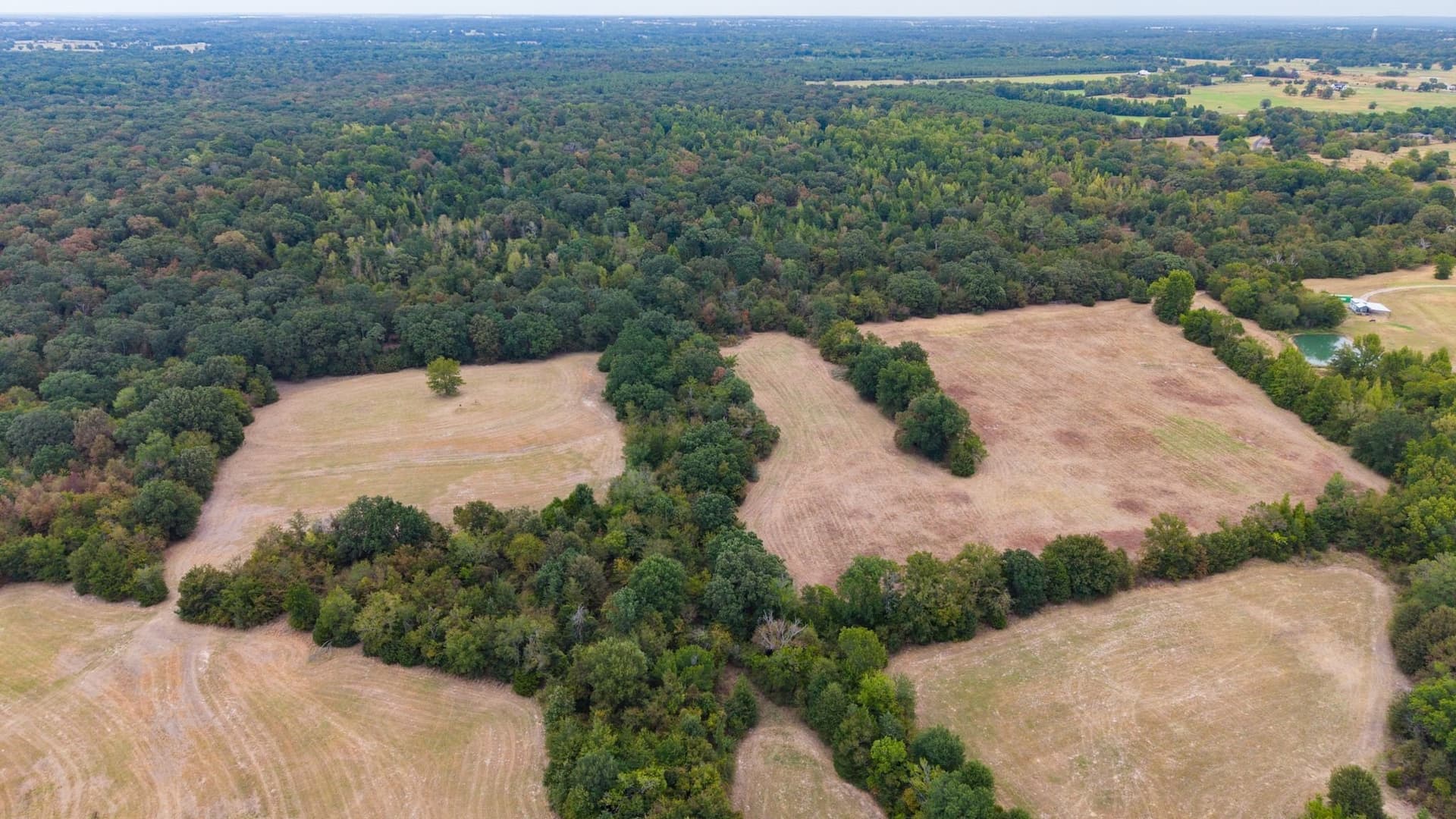24.64 acres in Hopkins County - photo 26