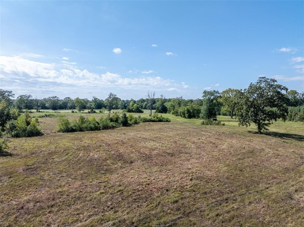 118 acres in Red River (TX) County gallery image 3