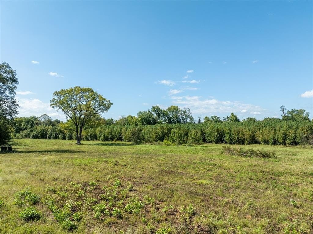 118 acres in Red River (TX) County gallery image 4