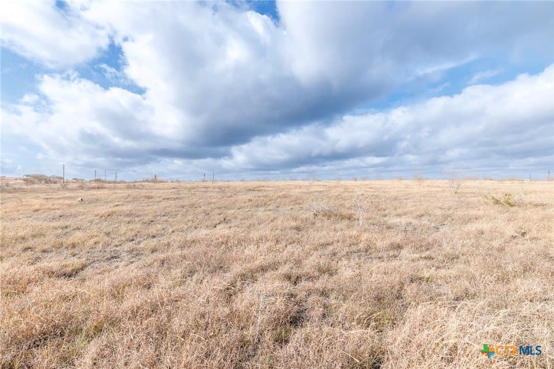 12.33 acres in Gonzales County gallery image 2