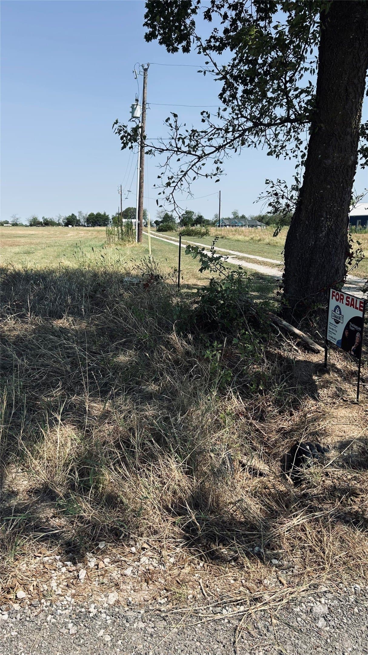 9.92 acres in Rains County - photo 2