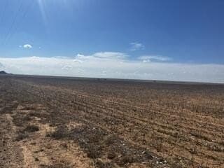 100 acres in Hale County gallery image 4