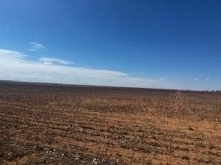100 acres in Hale County gallery image 3