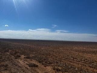 100 acres in Hale County gallery image 2