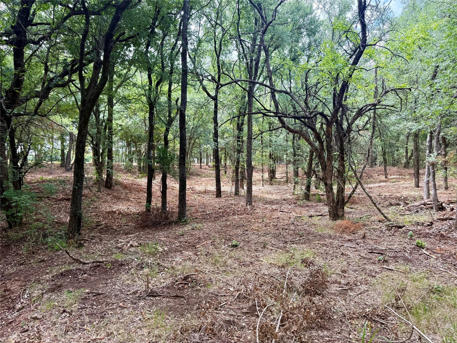 10 acres in Hill County - photo 27