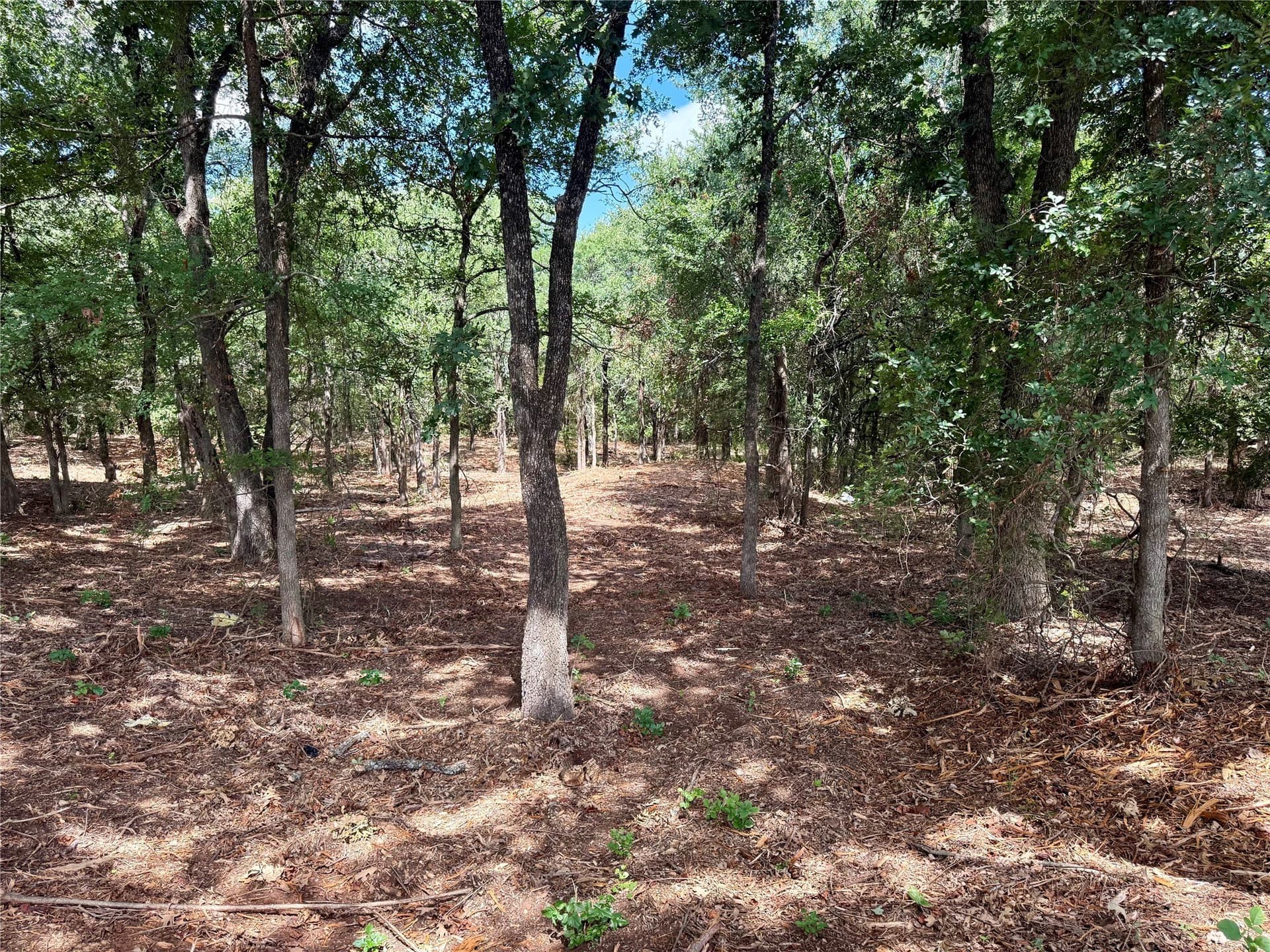 10 acres in Hill County - photo 19