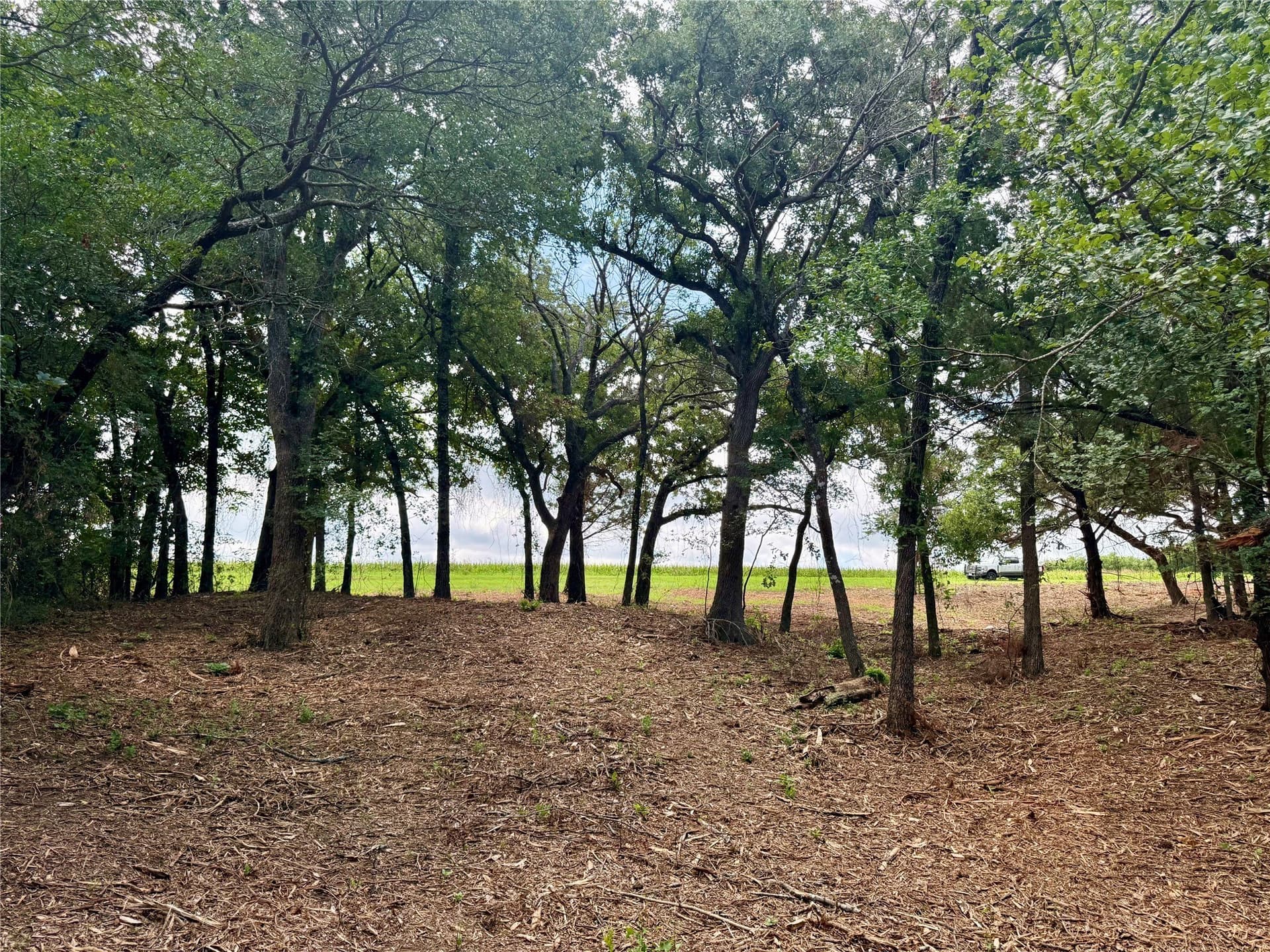 10 acres in Hill County