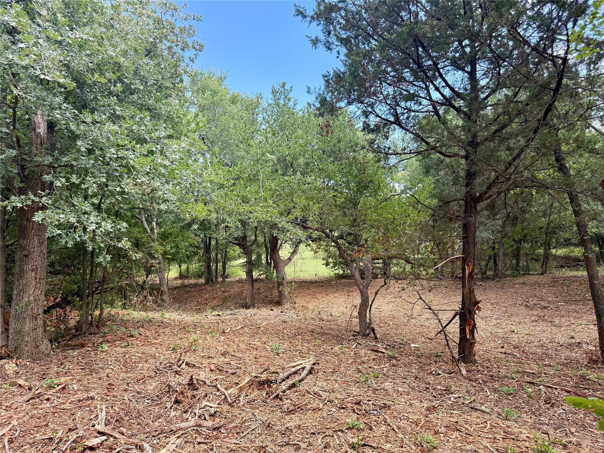10 acres in Hill County - photo 24