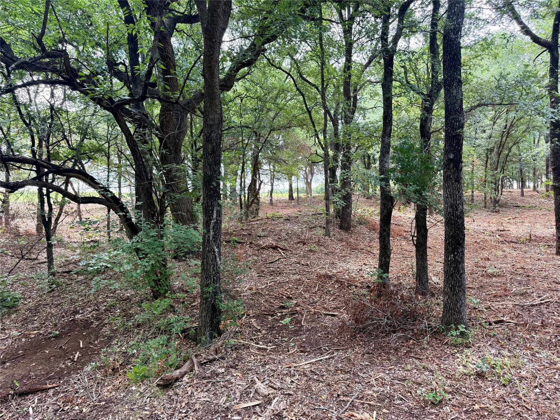 10 acres in Hill County - photo 29