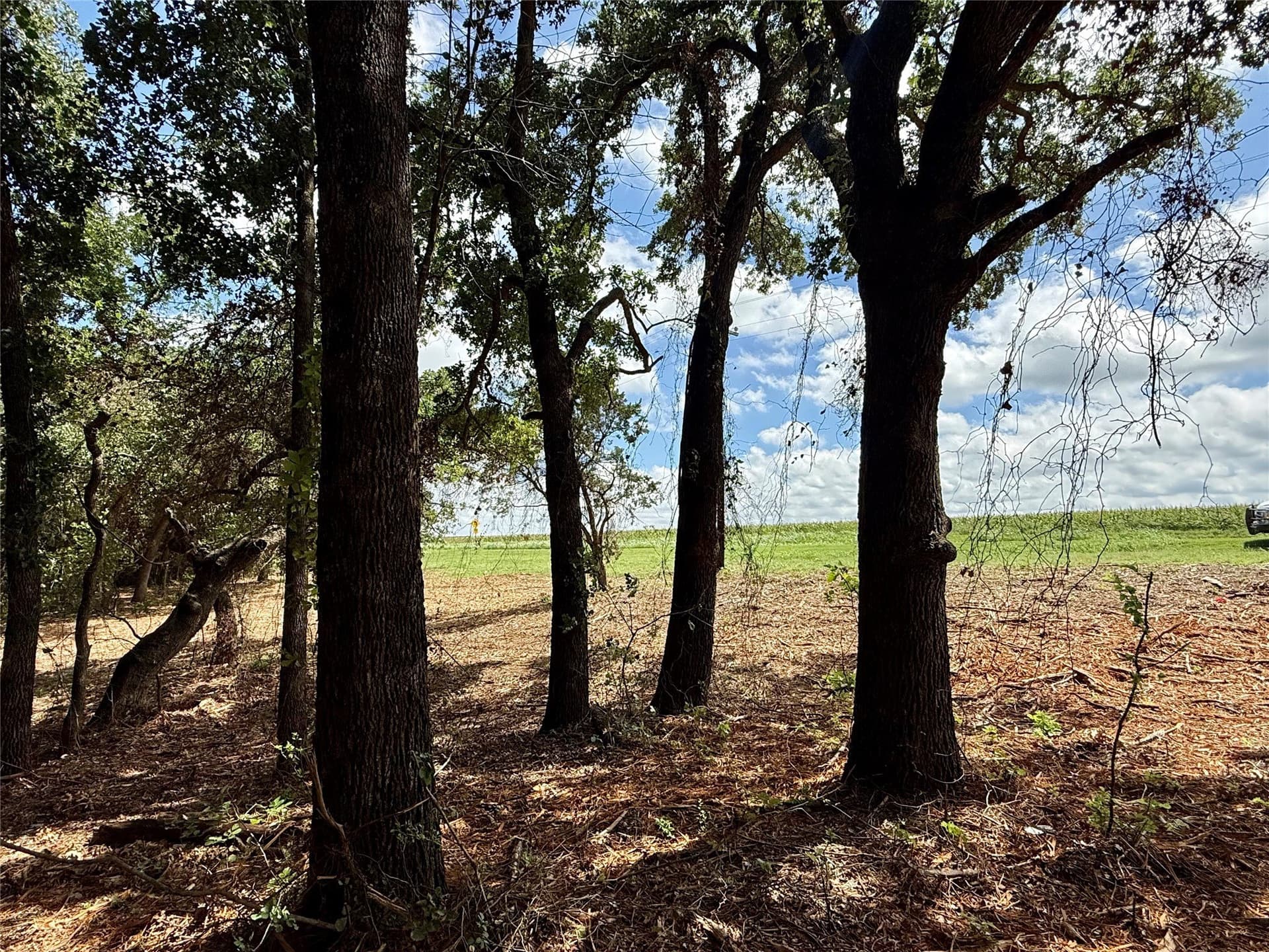 10 acres in Hill County - photo 20