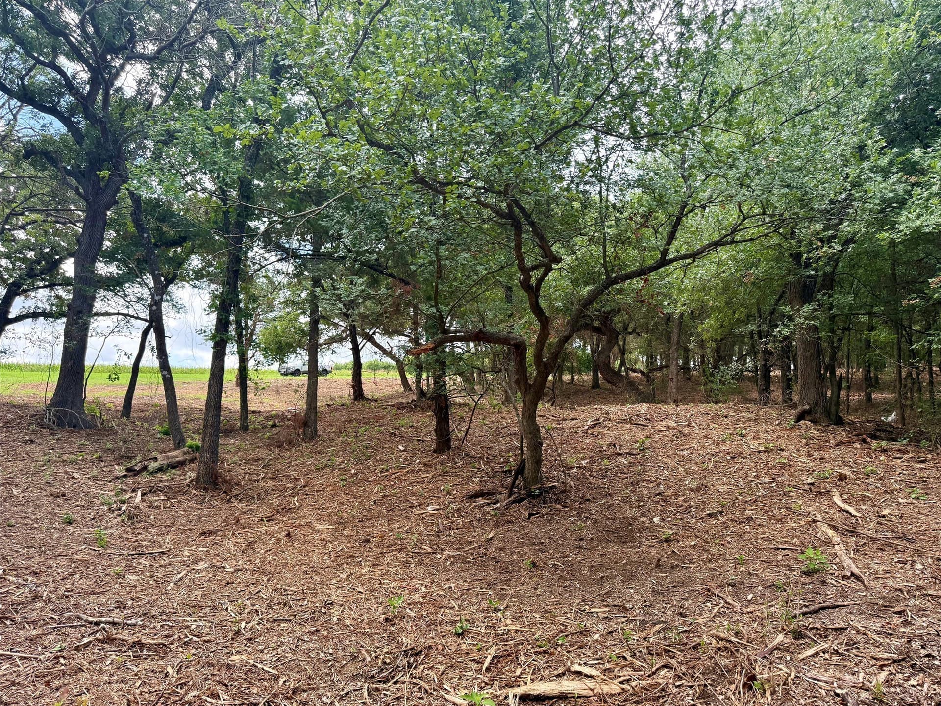 10 acres in Hill County - photo 25