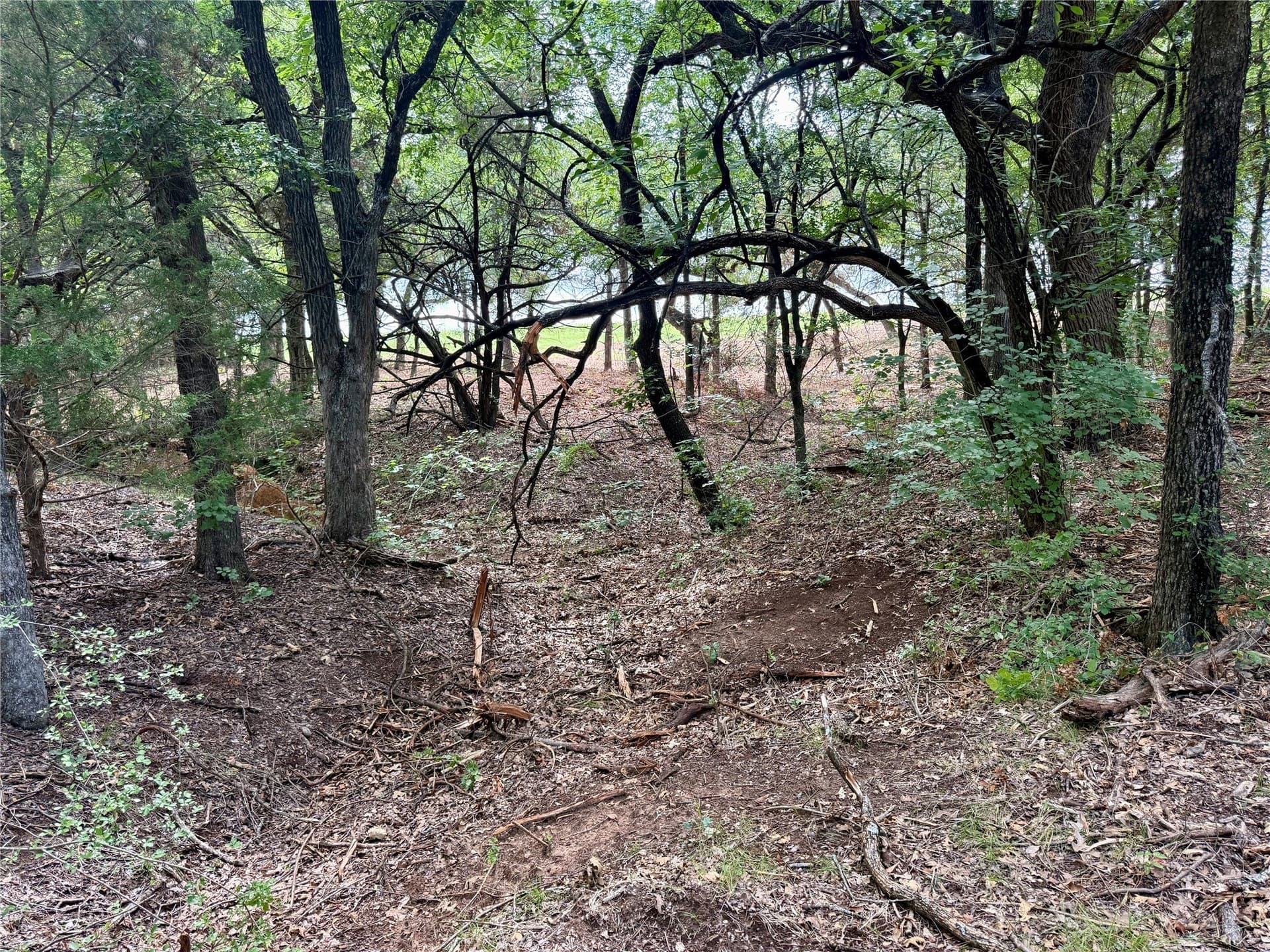 10 acres in Hill County - photo 28
