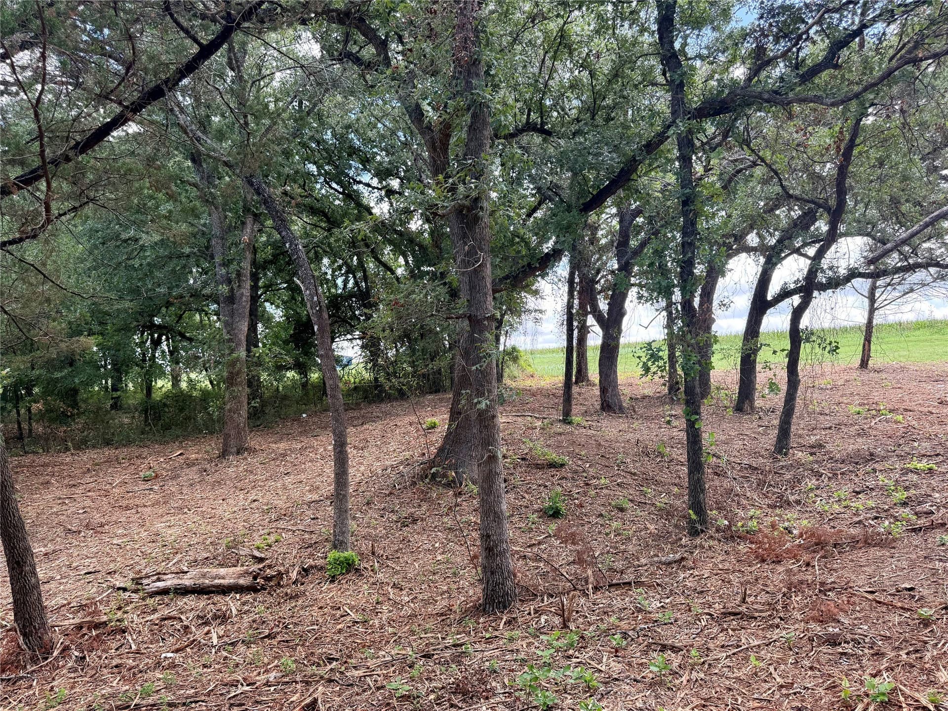 10 acres in Hill County - photo 3
