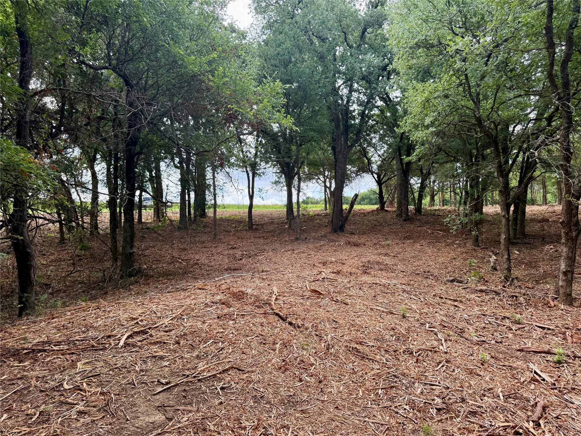 10 acres in Hill County - photo 30