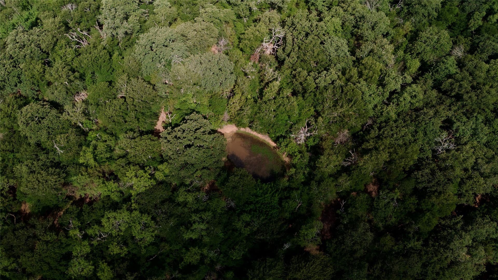 10 acres in Hill County - photo 10