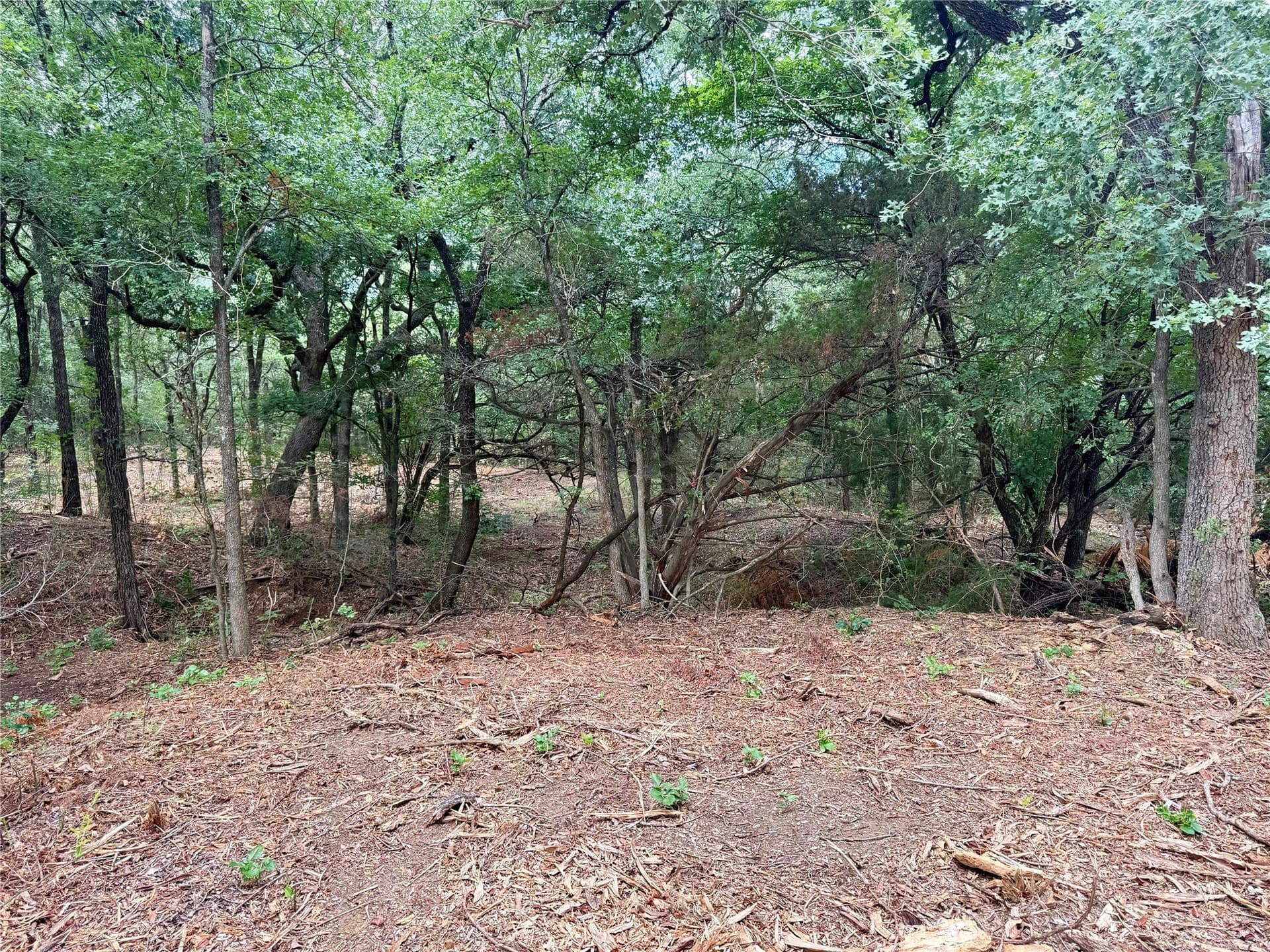 10 acres in Hill County - photo 23